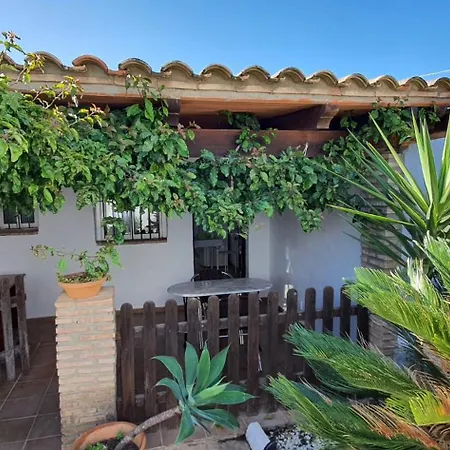 Apartment Estudios Con Piscina Compartida En Conil.